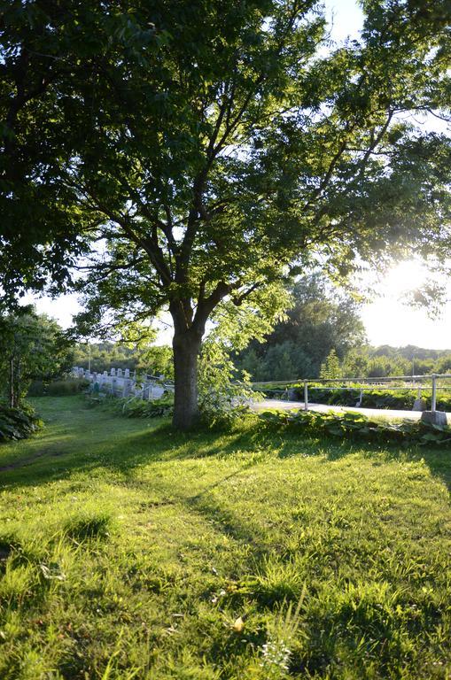 Tobisviks Camping Simrishamn Exteriér fotografie